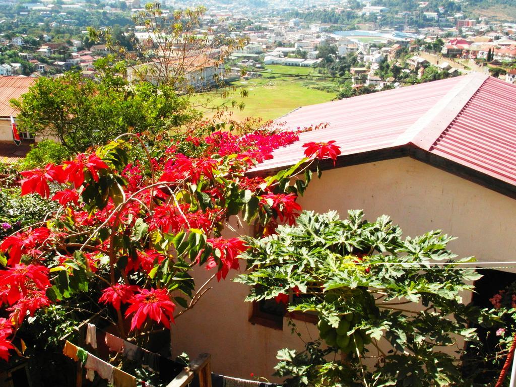 Three Palms Fianar Hotell Fianarantsoa Exteriör bild